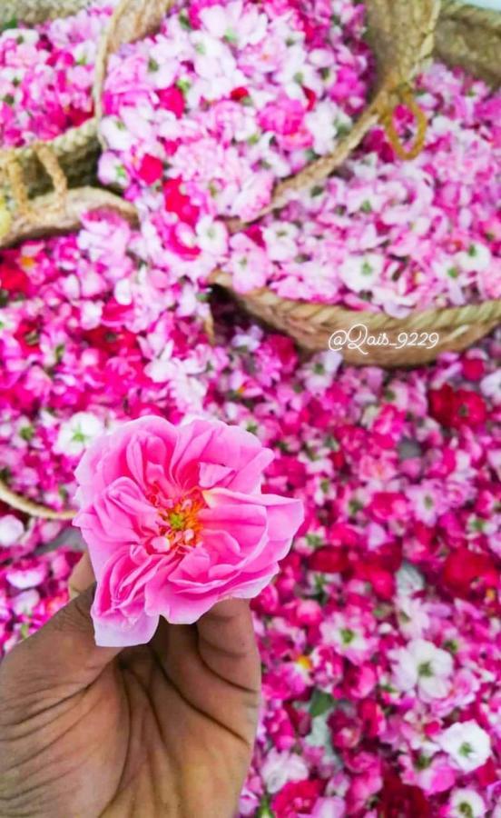 Willa Roses House Oman Jabal al Akhdhar Zewnętrze zdjęcie