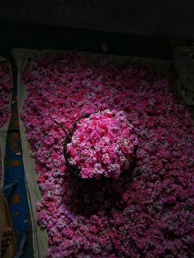 Willa Roses House Oman Jabal al Akhdhar Zewnętrze zdjęcie