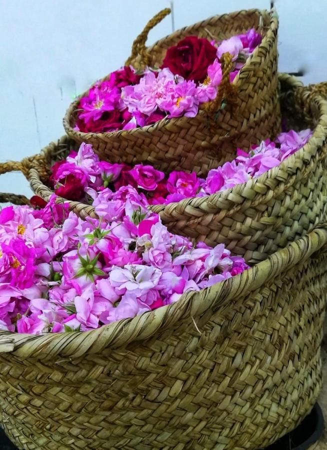 Willa Roses House Oman Jabal al Akhdhar Zewnętrze zdjęcie