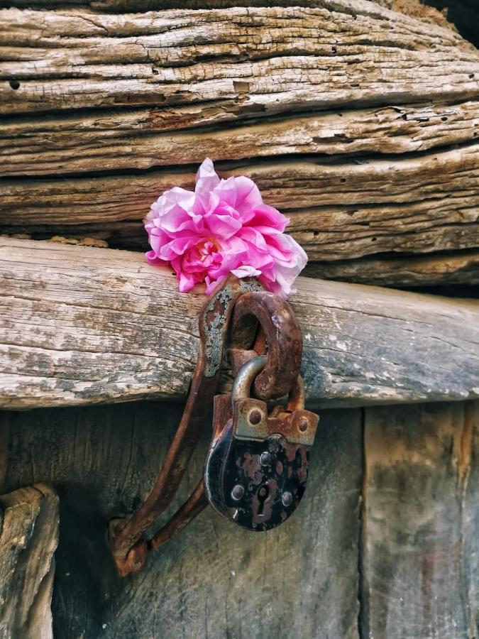 Willa Roses House Oman Jabal al Akhdhar Zewnętrze zdjęcie