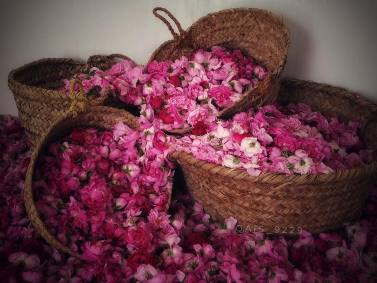 Willa Roses House Oman Jabal al Akhdhar Zewnętrze zdjęcie