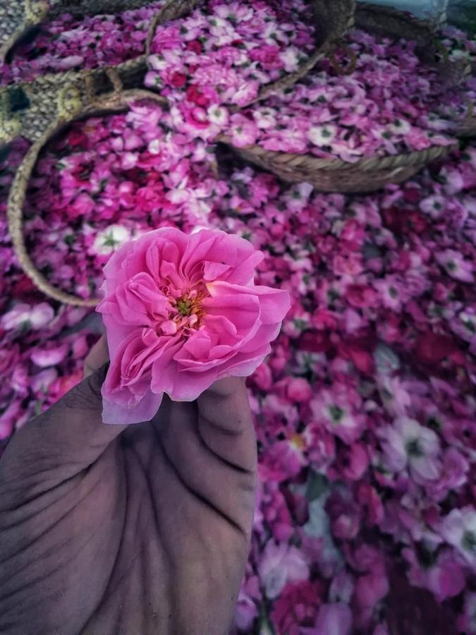 Willa Roses House Oman Jabal al Akhdhar Zewnętrze zdjęcie